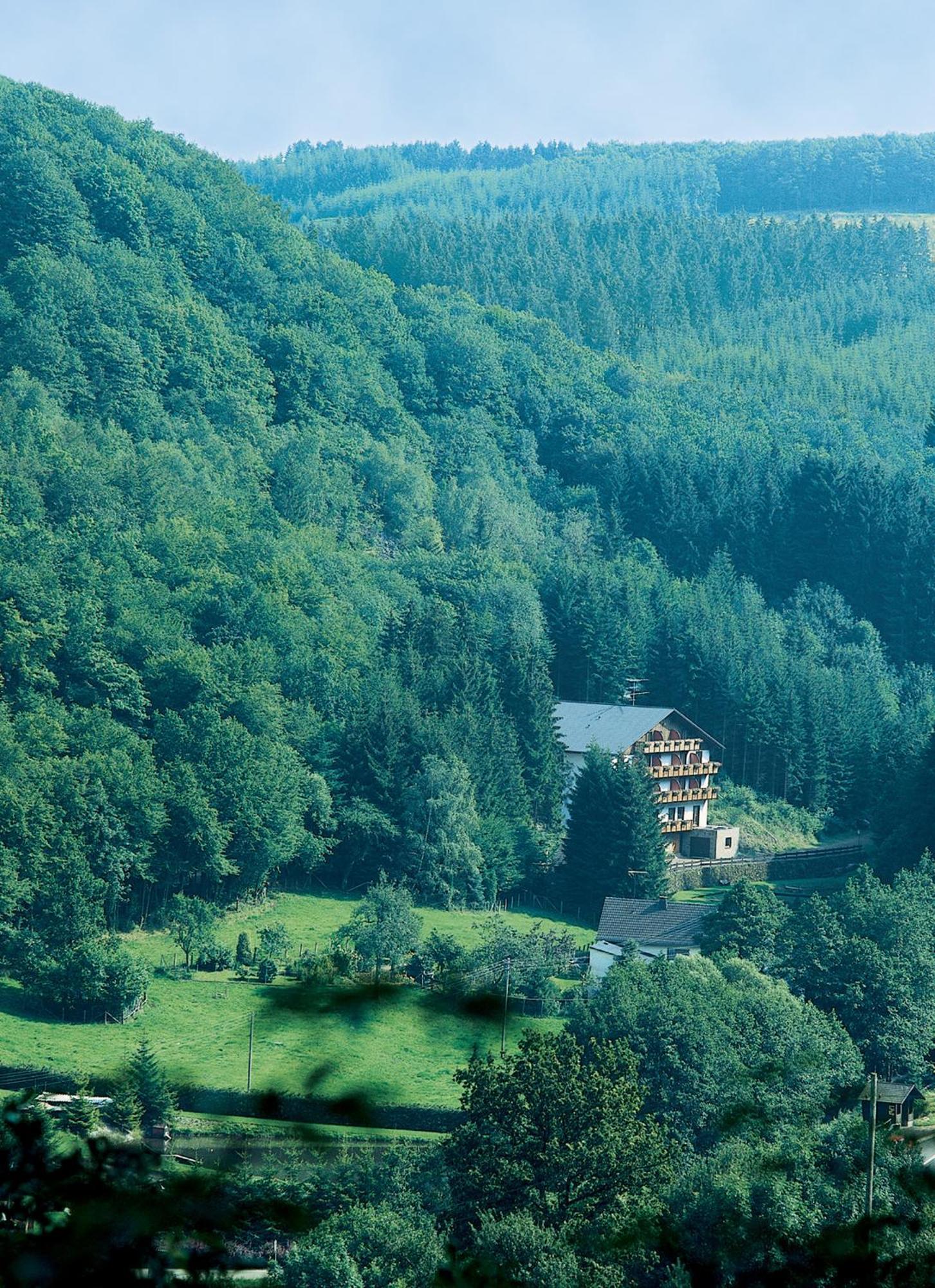 Wolffhotel Kopp Zewnętrze zdjęcie